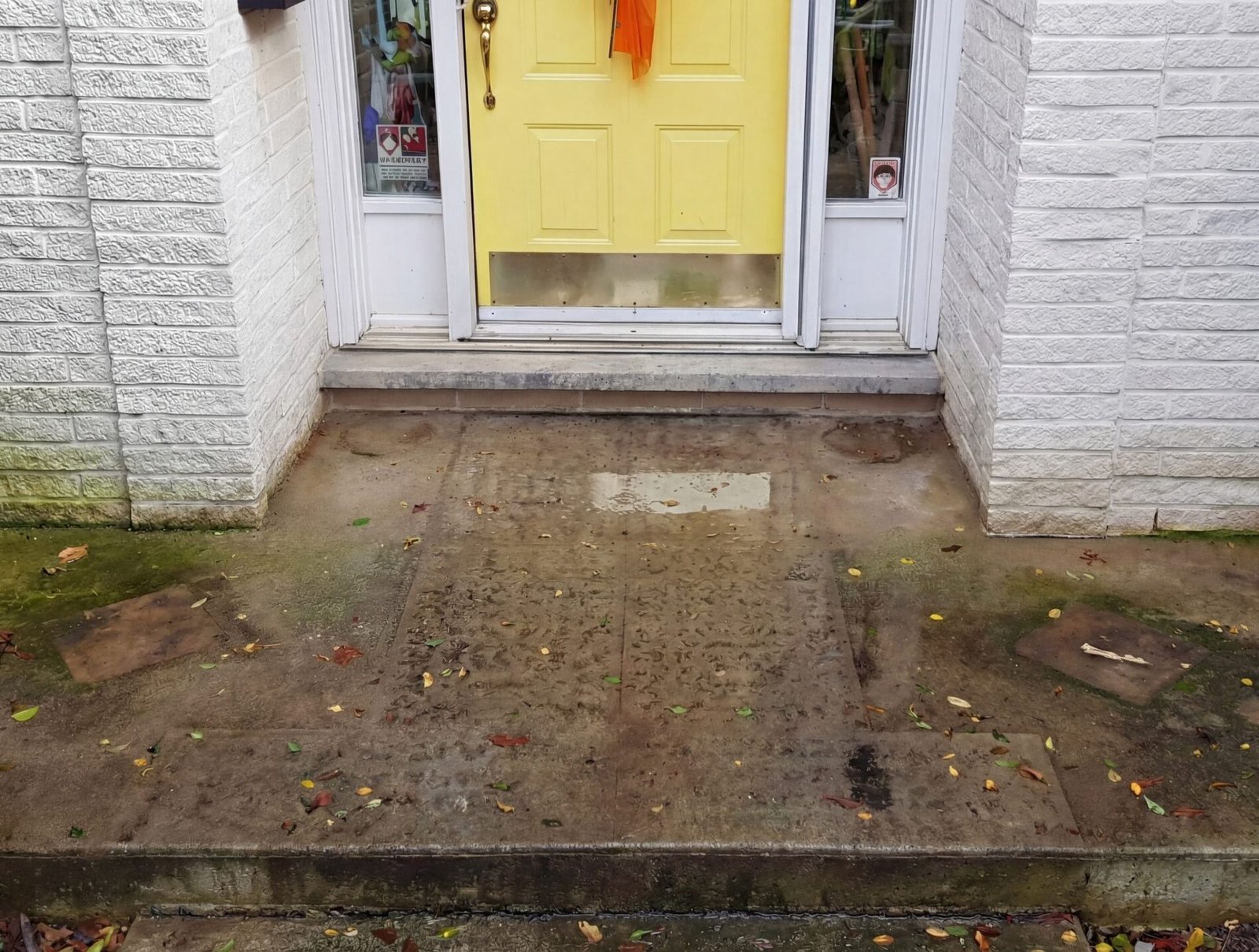 Before picture of a concrete patio with algae and dirt stains